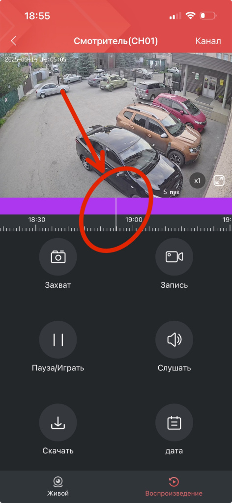 IMG_3989.jpg IMG_3989.jpg